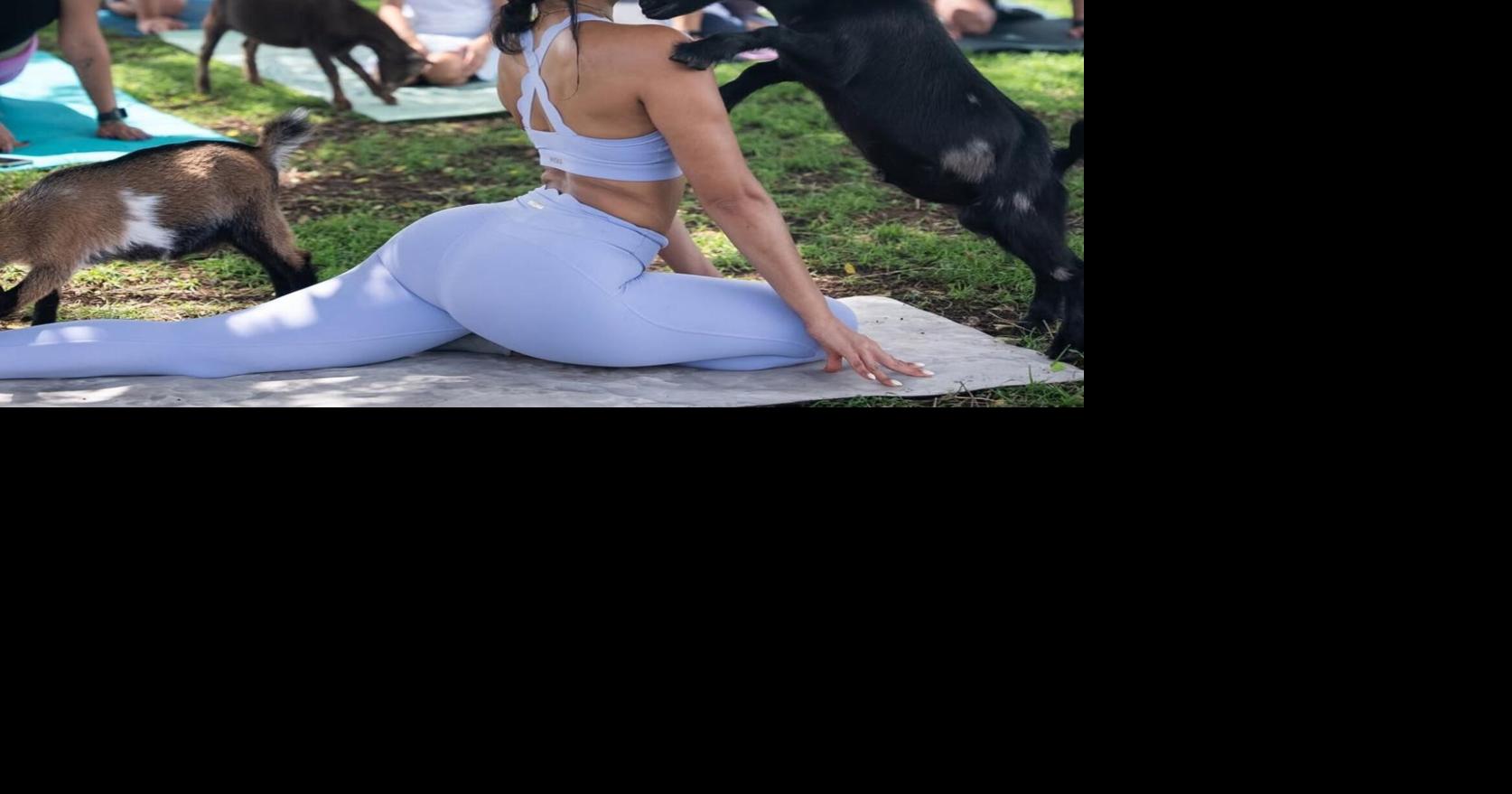 Yoga con cabritas y cachorros: una tendencia de bienestar que crece en Puerto Rico
