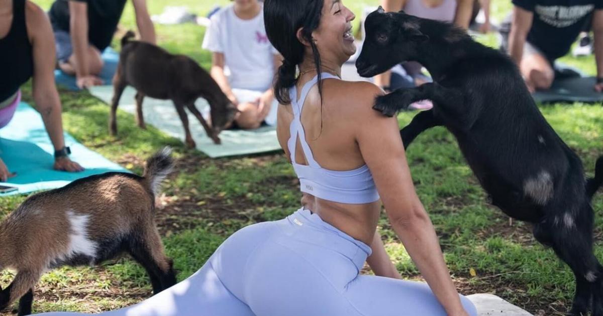Yoga con cabritas y cachorros: una tendencia de bienestar que crece en Puerto Rico