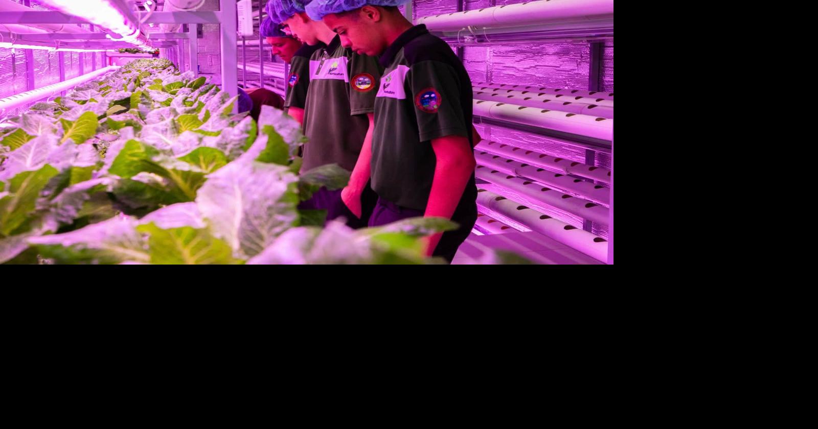 San Lorenzo invierte $115,000 en proyectos agrícolas para estudiantes