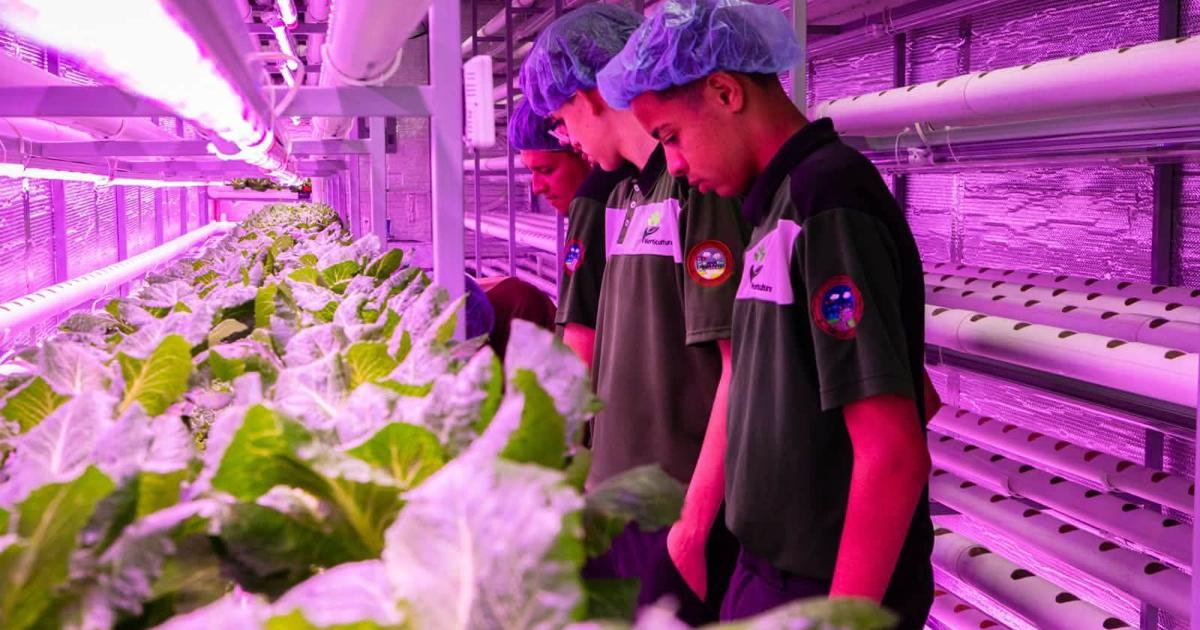 San Lorenzo invierte $115,000 en proyectos agrícolas para estudiantes