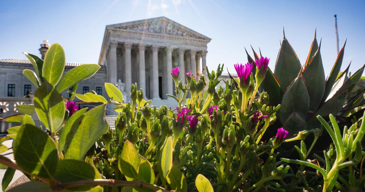 Corte Suprema de EEUU permite a estados verificar elegibilidad de votantes con base federal
