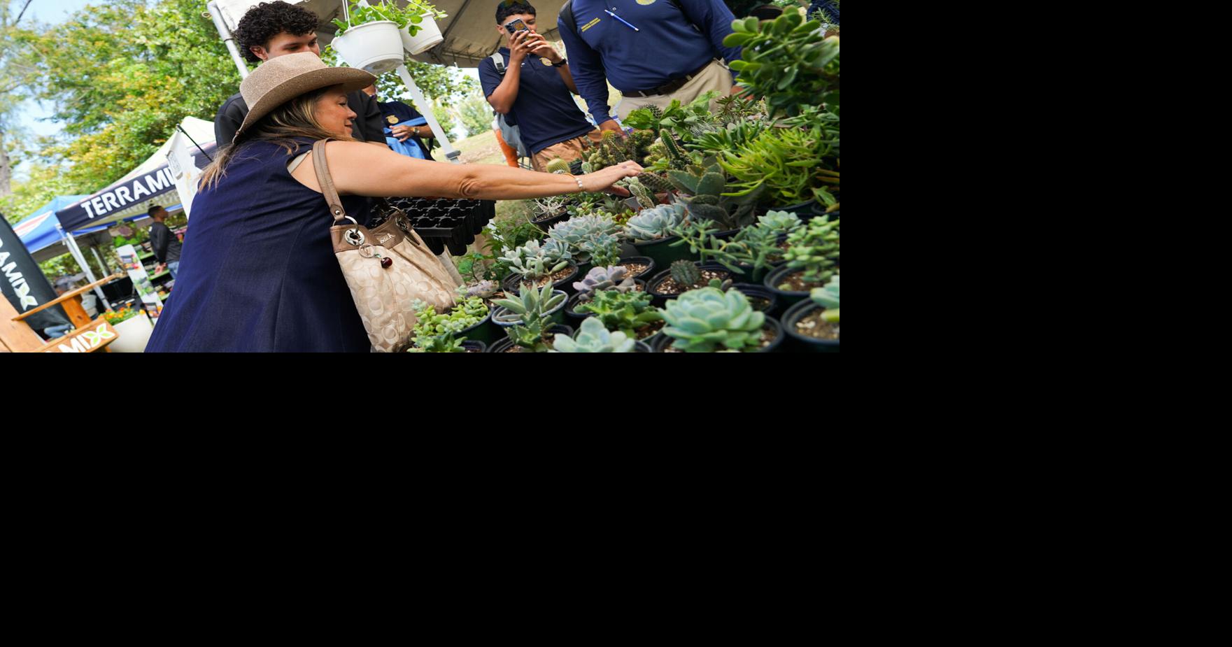 El evento se celebra este fin de semana en el Bosque Punta Salinas con talleres, mercado agrícola y actividades familiares