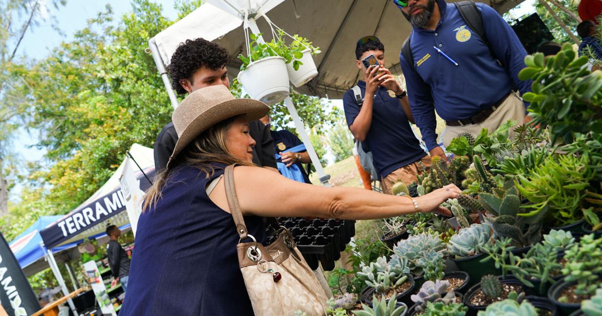 Agricultura, tradición y música se unen en la Feria Campo + Pueblo en Toa Baja