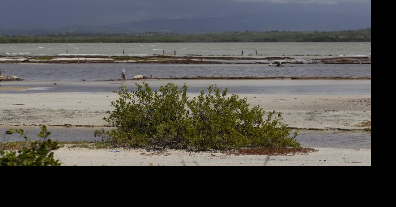 Arranca segunda fase de restauración de las Salinas de Cabo Rojo con $5 millones federales