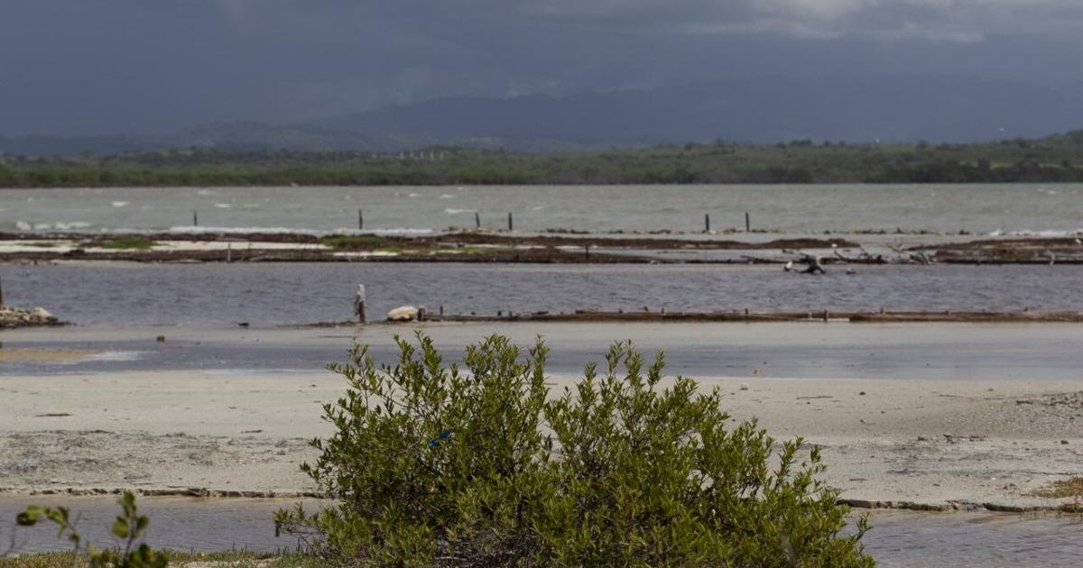 Arranca segunda fase de restauración de las Salinas de Cabo Rojo con $5 millones federales