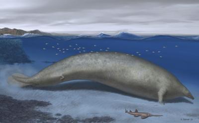 Descubren en Perú los restos del posible animal más pesado de la historia