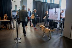 Imagen de la cobertura de: Islandia rechaza reanudar negociaciones para unirse a la Unión Europea