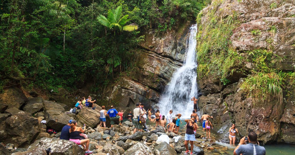 Propuesta federal plantea cobrar tarifas de entrada a El Yunque