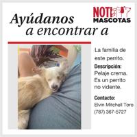 Perrito Encontrado