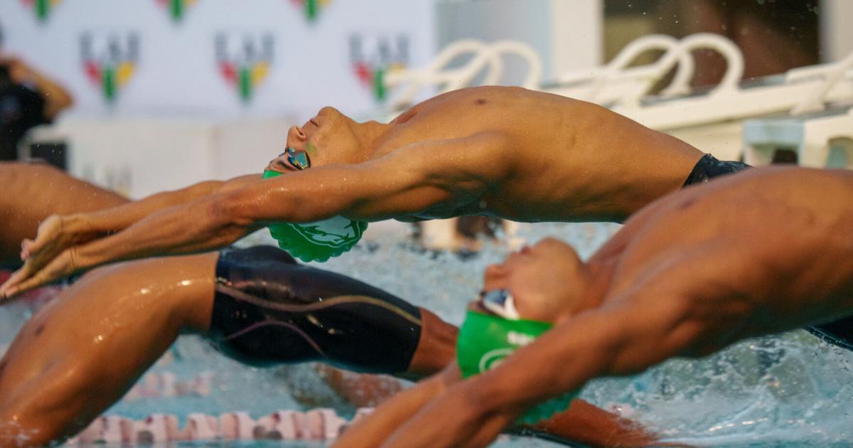 Natación de la LAI celebrará Campeonato de Piscina Corta en el RUM del 30 de noviembre al 2 de diciembre