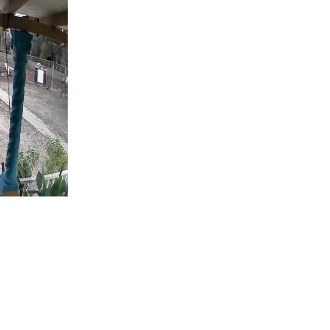 Impresionante vídeo de sismo de 5.3 al sur de la Isla