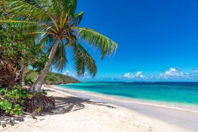 Cofundador de Google compra isla por 32 millones en Puerto Rico