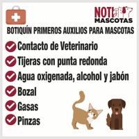 Grafica Primeros Auxilios