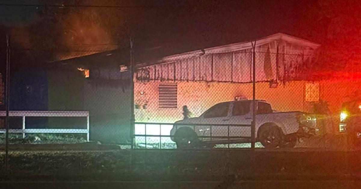 Bajo observación dos caballos tras incendio en el Hipódromo Camarero