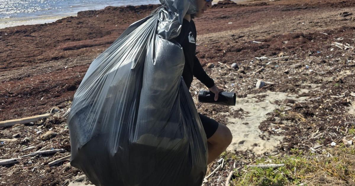Scuba Dogs Society lanza campaña para reducir contaminación en playas y costas este verano