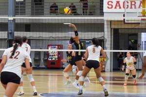 Imagen de la cobertura de: Yangeliz Llanos Torres llega a las Lobas de la UPR de Arecibo con historia familiar en el voleibol