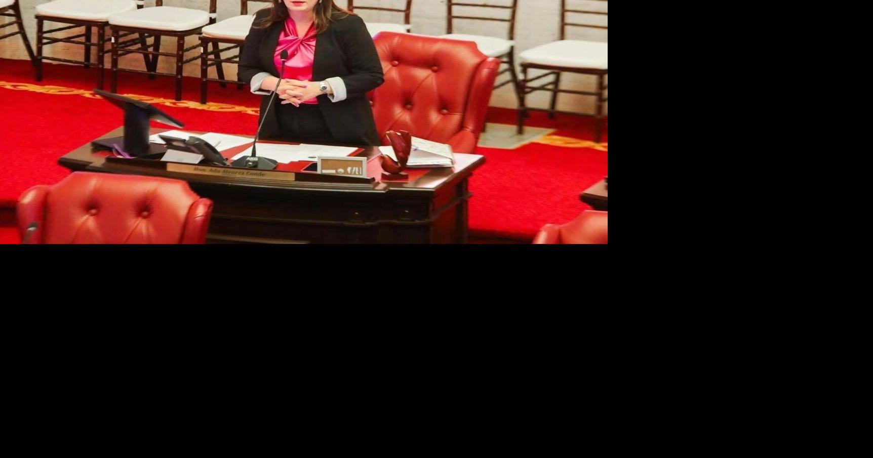 Senadora denuncia ante Contralor delegación irregular de evaluación de propuestas en Familia