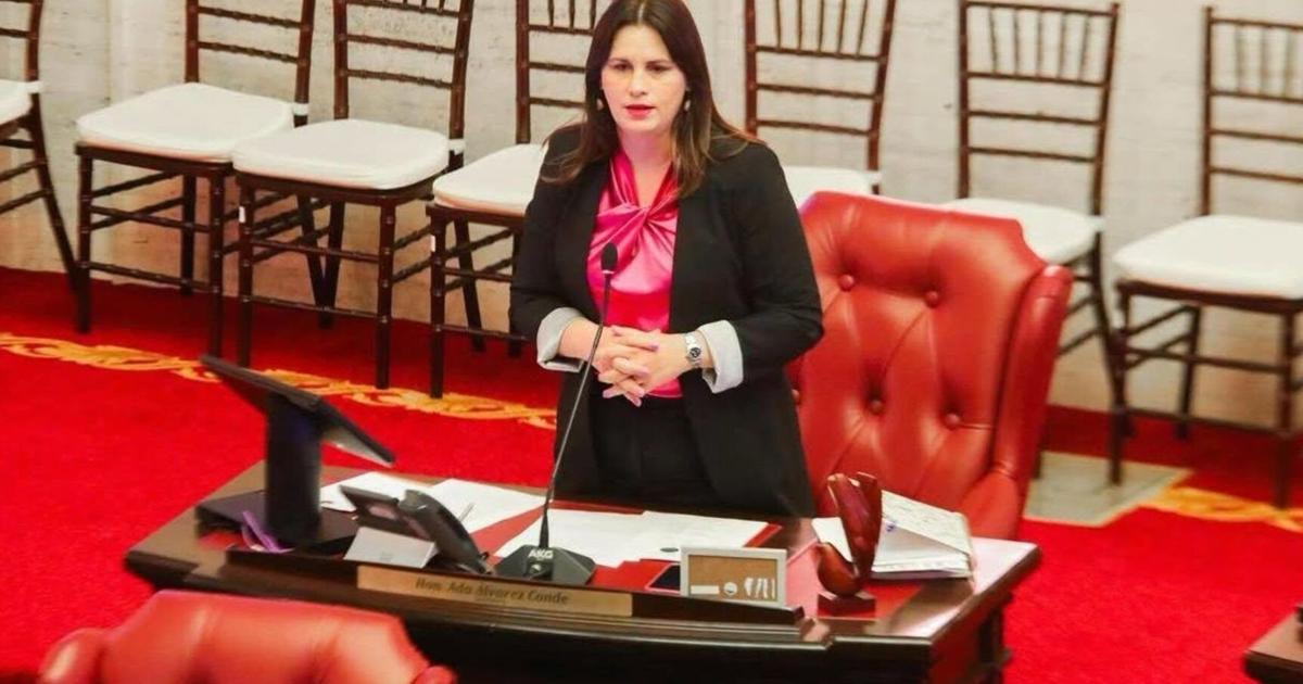 Senadora denuncia ante Contralor delegación irregular de evaluación de propuestas en Familia