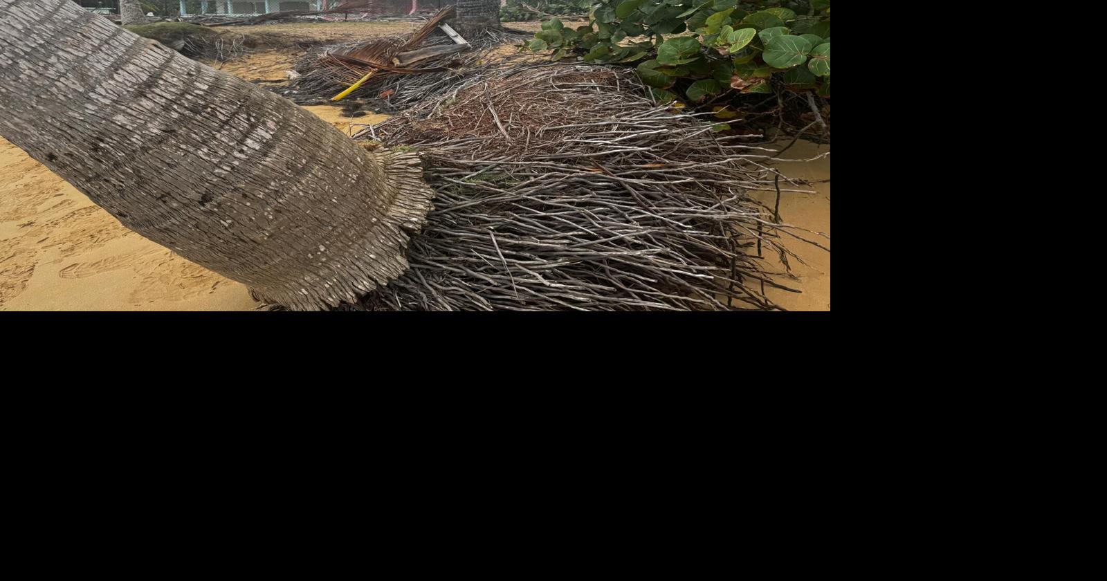 Erosión amenaza el 75% de las playas evaluadas en la costa norte de Puerto Rico