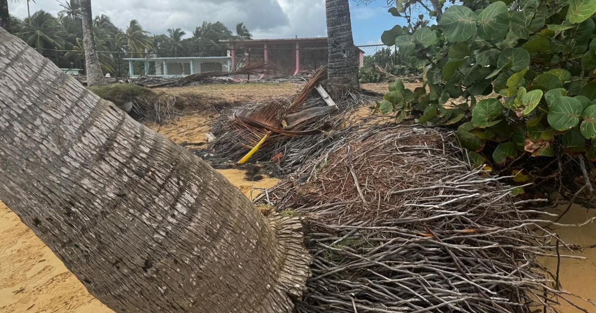 Erosión amenaza el 75% de las playas evaluadas en la costa norte de Puerto Rico