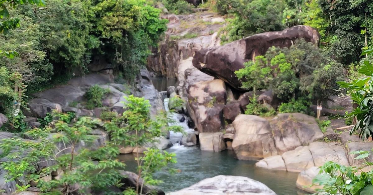 Hombre muere tras golpearse la cabeza al lanzarse al charco El Hippie en Naguabo