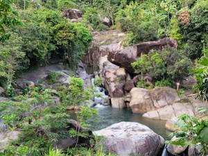 Imagen del artículo de El Vocero: Hombre muere tras golpearse la cabeza al lanzarse al charco El Hippie en Naguabo