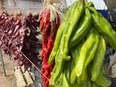 Nuevo México sopesa que chile verde asado sea aroma oficial