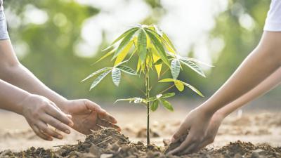 Apuesta sostenible al futuro de la agricultura