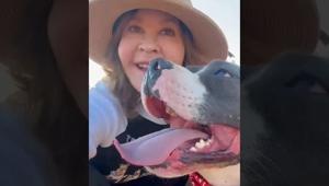 Imagen del artículo de El Vocero: Autoridades inspeccionan refugio de animales de la actriz Linda Blair, de El Exorcista, en Los Ángeles