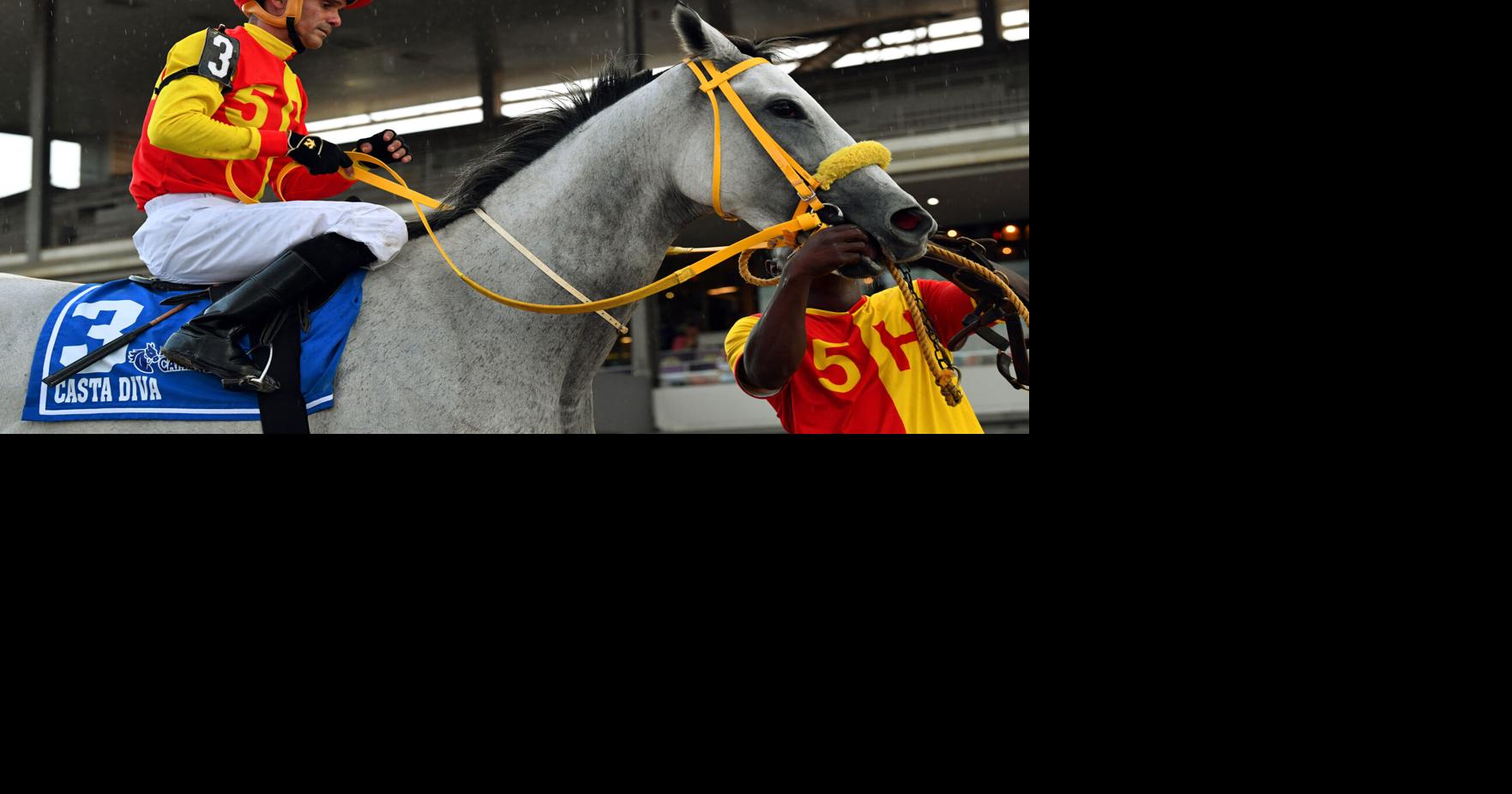 Casta Diva conquista su octava victoria clásica en el Constitución del hipódromo Camarero