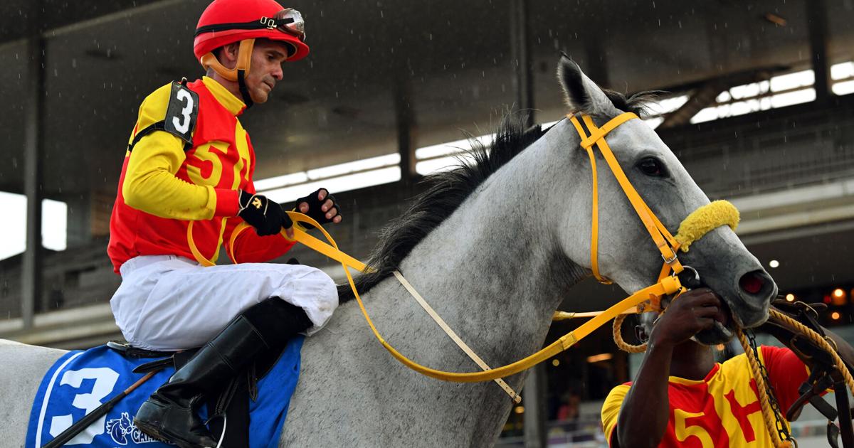 Casta Diva conquista su octava victoria clásica en el Constitución del hipódromo Camarero