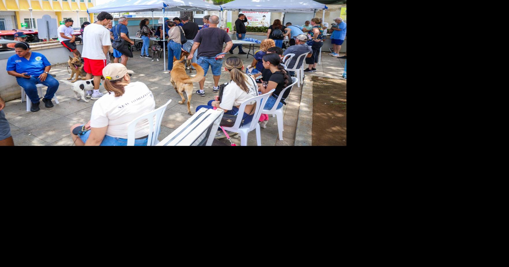Cientos participan de feria de servicios en Camuy