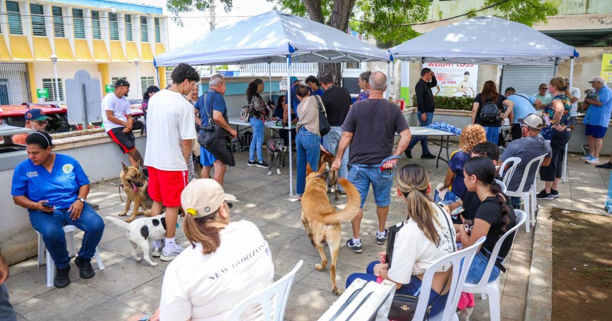 Cientos participan de feria de servicios en Camuy