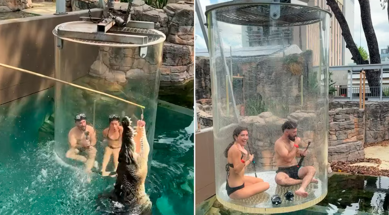 Paletta Per Lettiera Con Manico Lungo - Per Gatti E Animali Piccoli - Foto 9