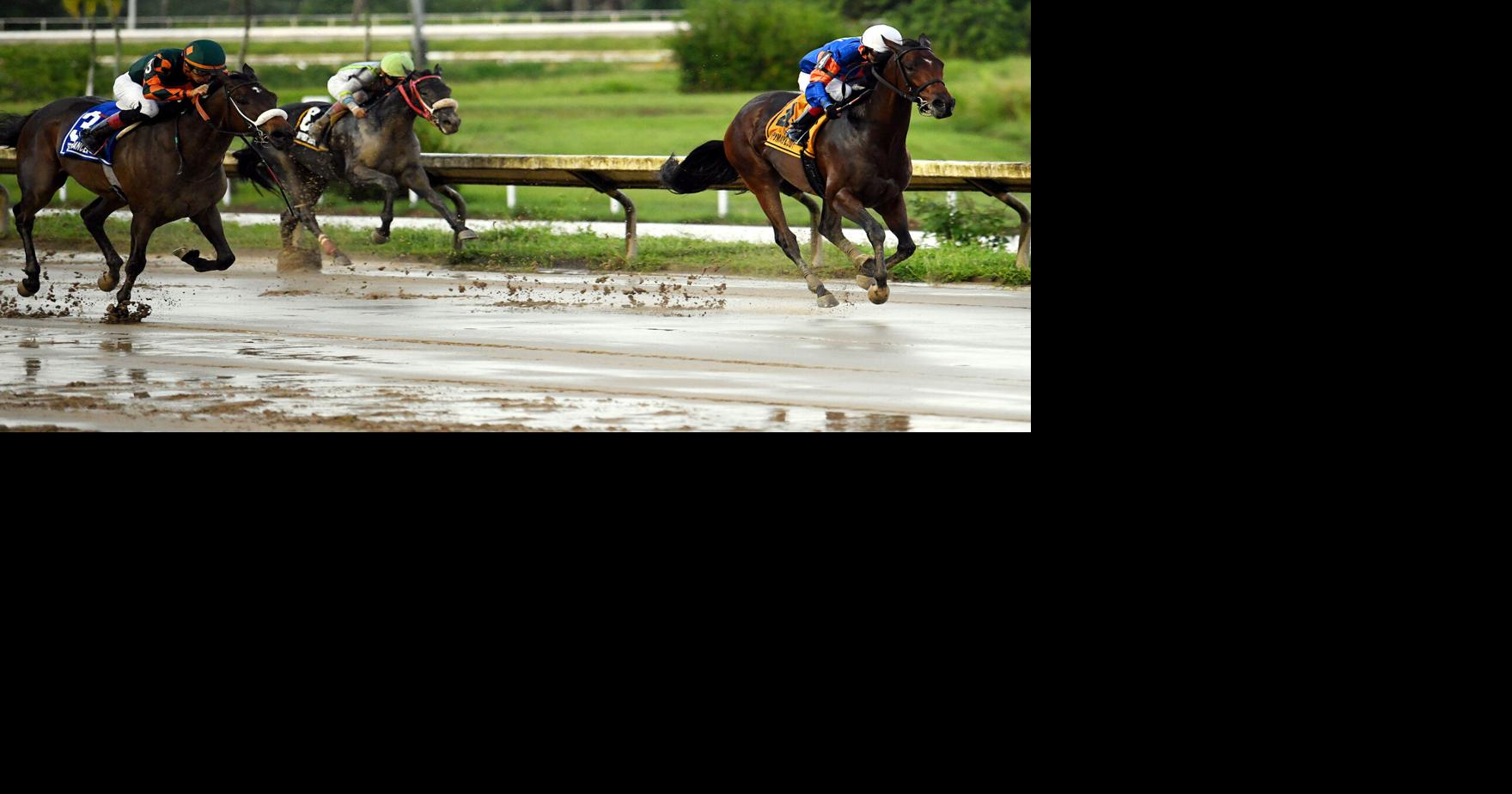 Hipódromo Camarero lanza campaña "El galope de un pueblo" para celebrar legado del hipismo