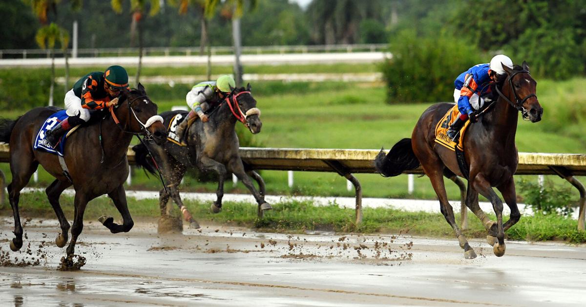 Hipódromo Camarero lanza campaña "El galope de un pueblo" para celebrar legado del hipismo