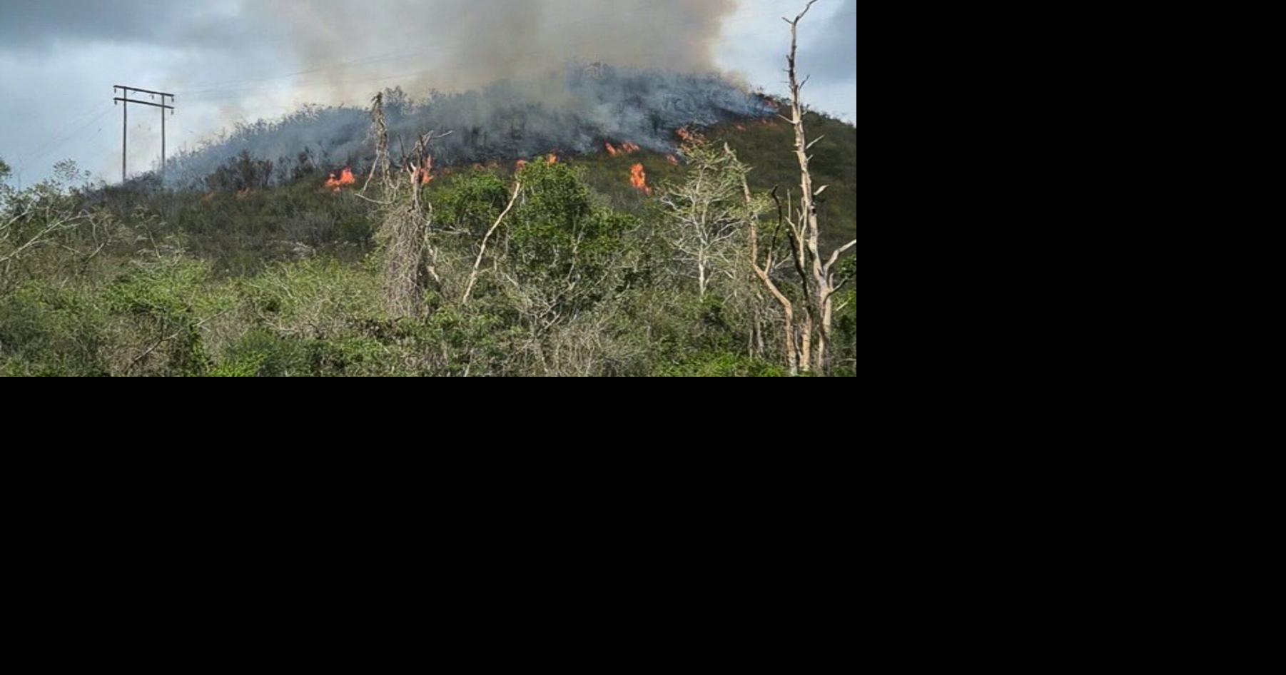 Incendio forestal provoca apagón en Peñuelas al afectar torre de transmisión de LUMA