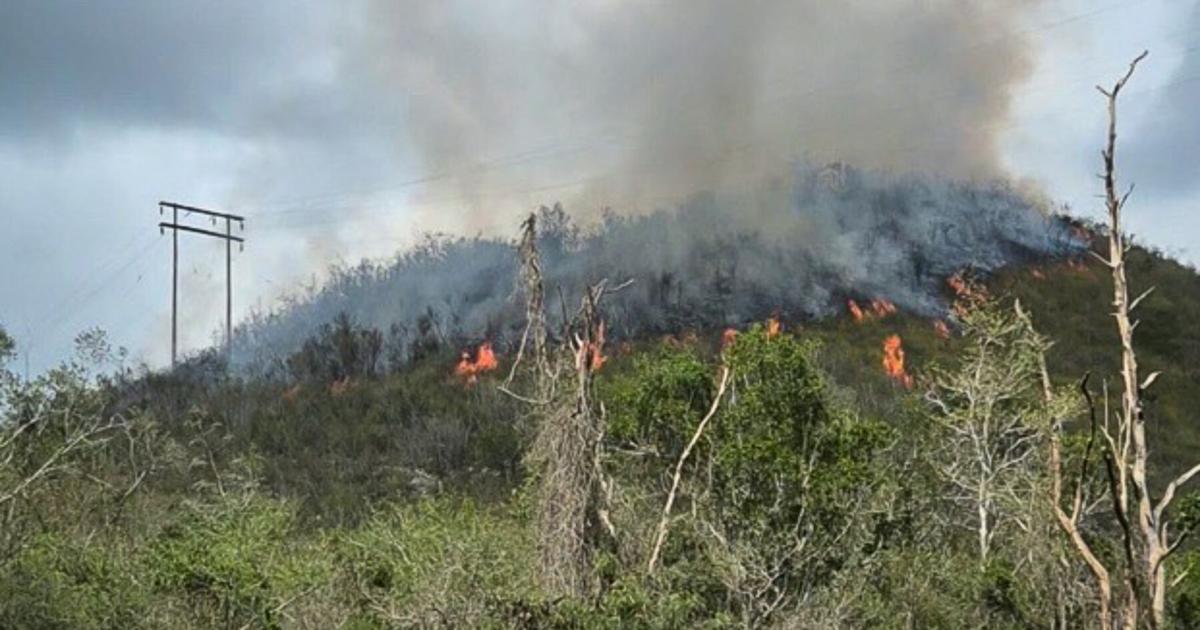Incendio forestal provoca apagón en Peñuelas al afectar torre de transmisión de LUMA