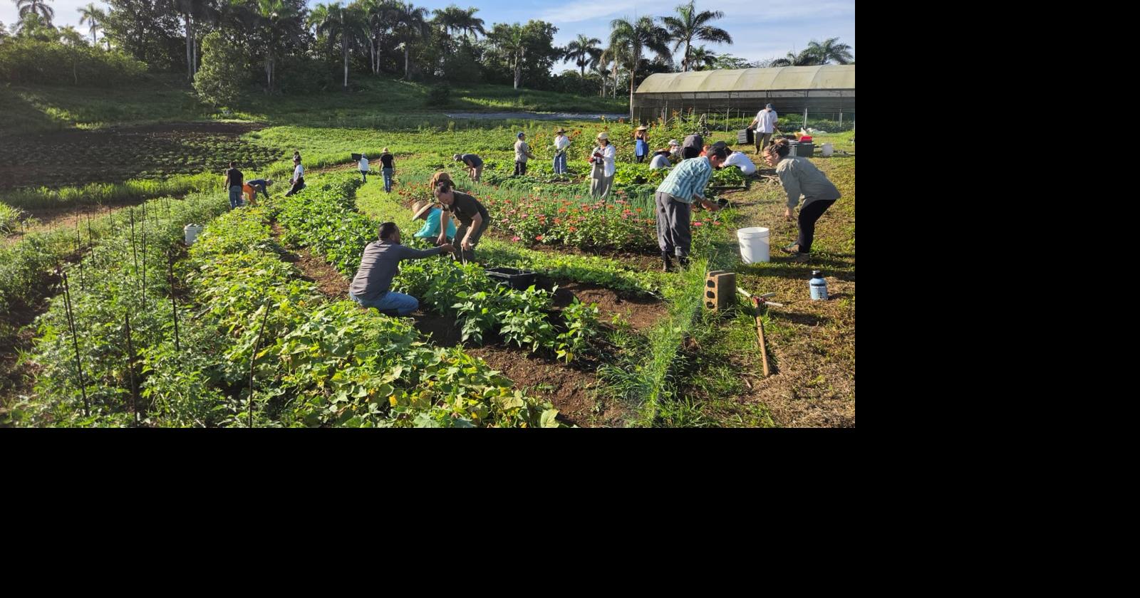 Escuela de Agroecología El Josco Bravo gradúa a 240 estudiantes y llega a 1,800 egresados