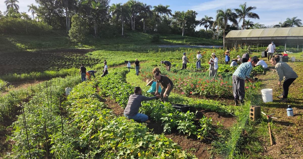 Escuela de Agroecología El Josco Bravo gradúa a 240 estudiantes y llega a 1,800 egresados