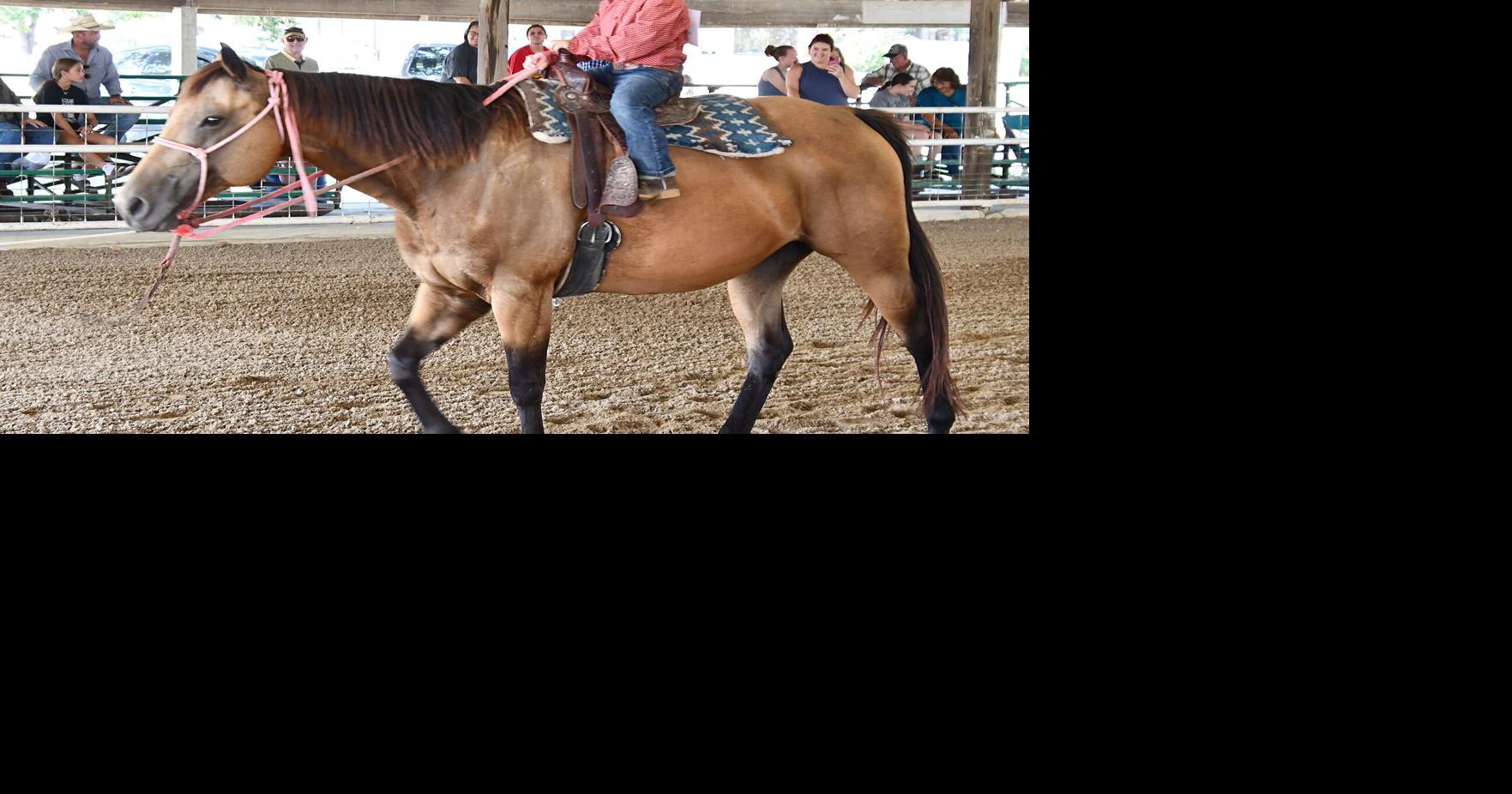 Pee Wee Rodeo prepares future 4-Hers for fair events | Free ...