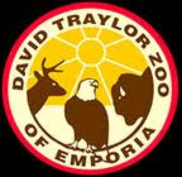 A "toadally" awesome Sunday Community