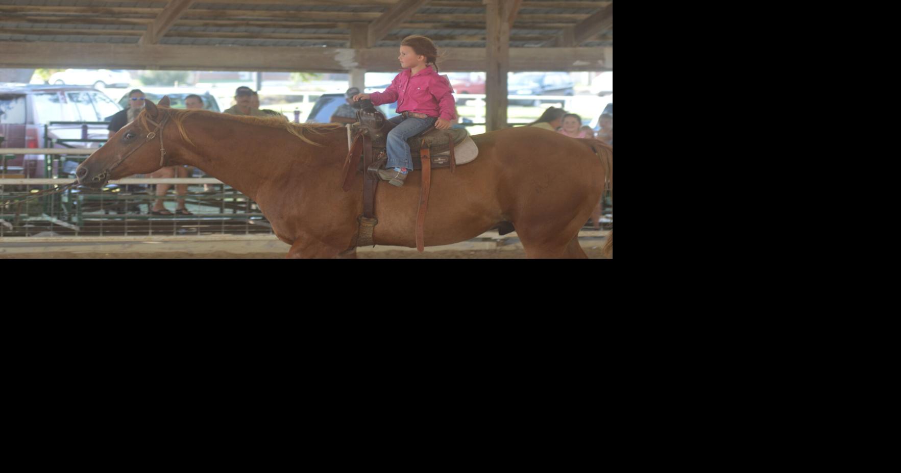 Pee Wee Rodeo introduces young riders to fair events | Free ...