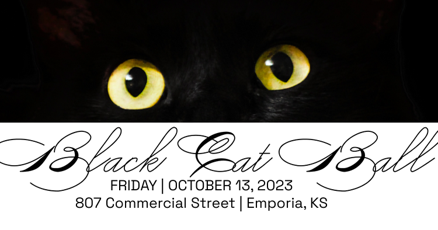 Black cat 13s 2019 sales