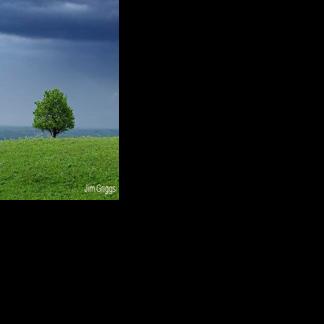 2026: 35 Years of ‘PriaryErth,’ 30 Years of the Tallgrass Prairie National Preserve
