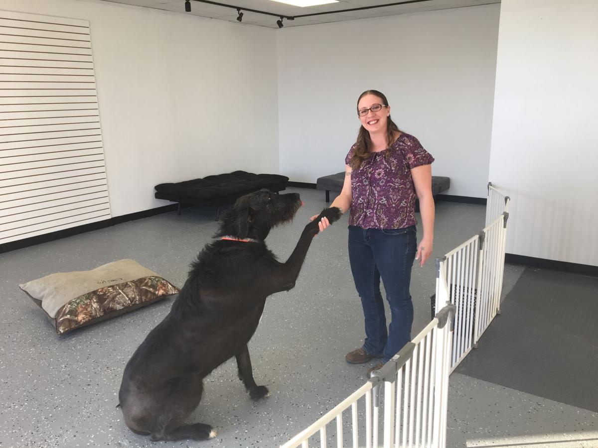 Bark And Purr Daycare And Spa Now Open Area News