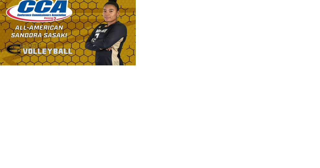 Sandora Sasaki earns D2CCA All-American honors in volleyball - Vimarsana News