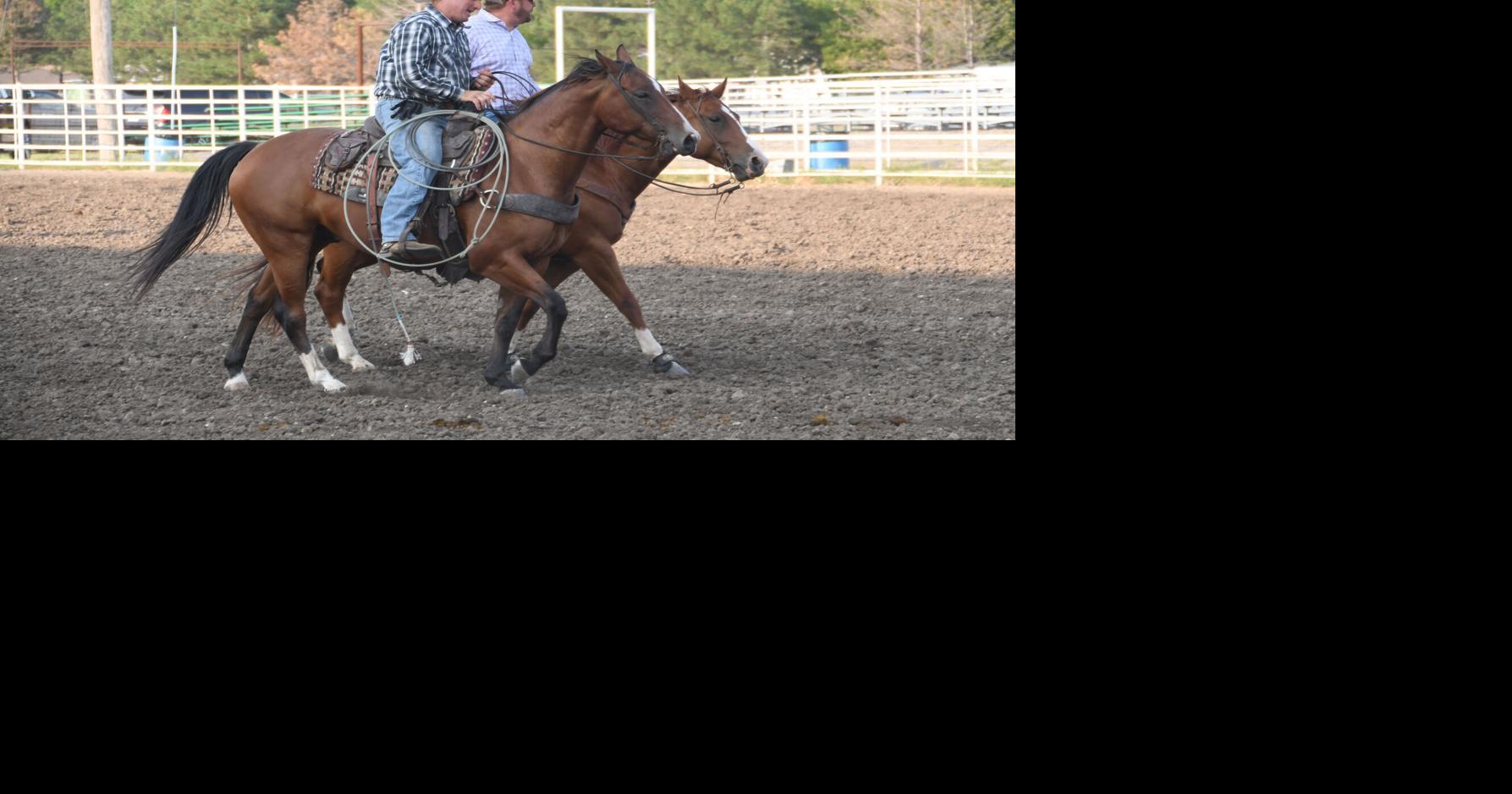 Flint Hills Beef Fest returns to celebrate grass cattle industry Gaz
