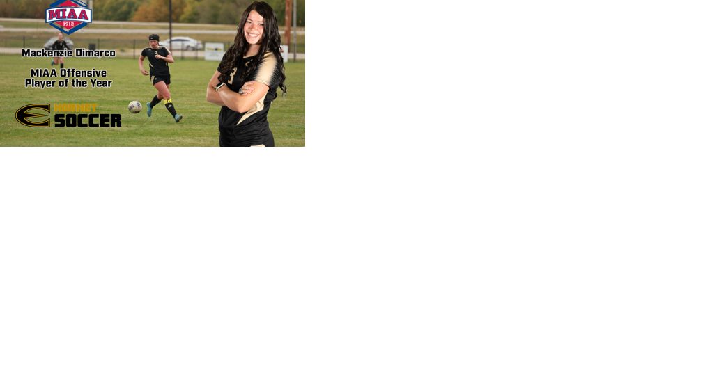 Mackenzie Dimarco leads four Hornets with All-MIAA honors - Vimarsana News