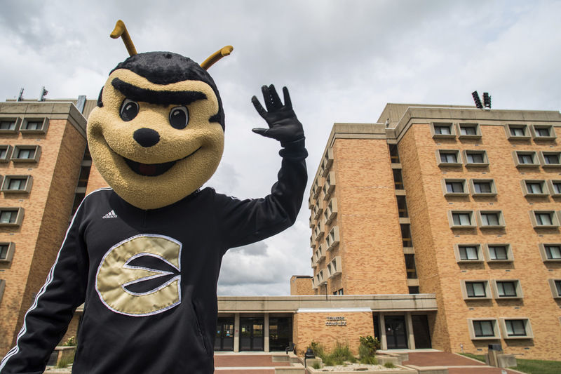 Meet the new Corky News